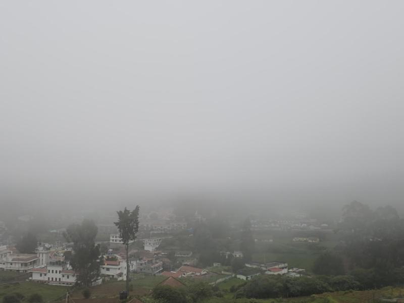 Mellowlux Ooty - image 8