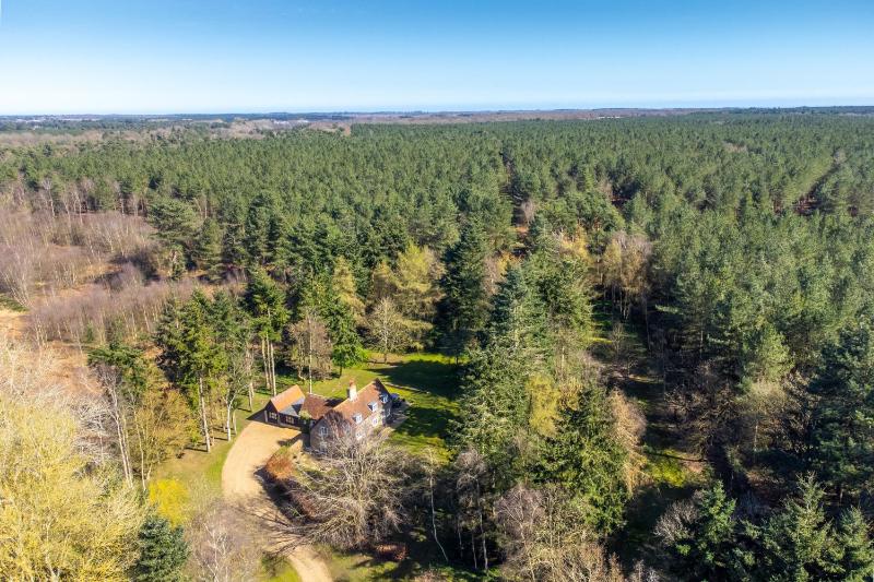 Marvellous secluded forest lodge - Stone Hall - image 3