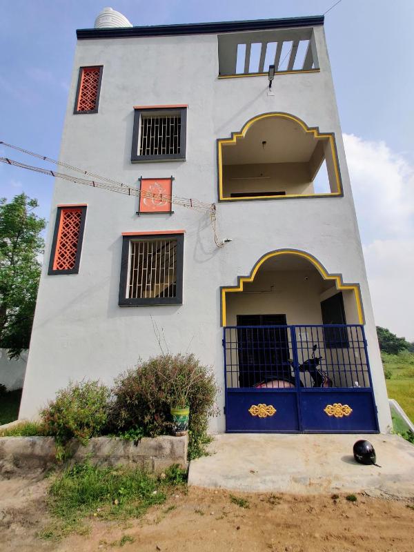 The Green House - image 6