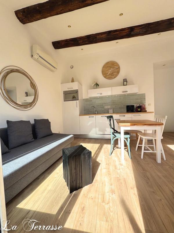 One-Bedroom Apartment with Terrace image 4