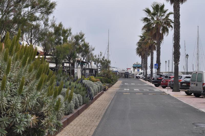 Manelisa Cascais - image 5