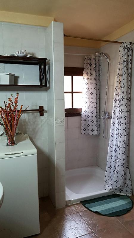 One-Bedroom Apartment with shared Courtyard (2 - 3 Adults) image 3