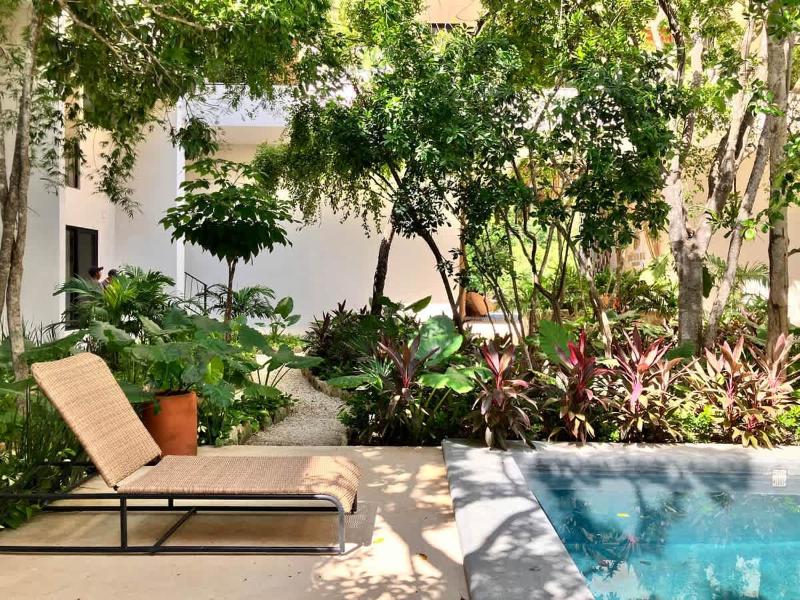 Near beach Ximbal Tulum 6 guest Pool Gym Wi-Fi - image 50