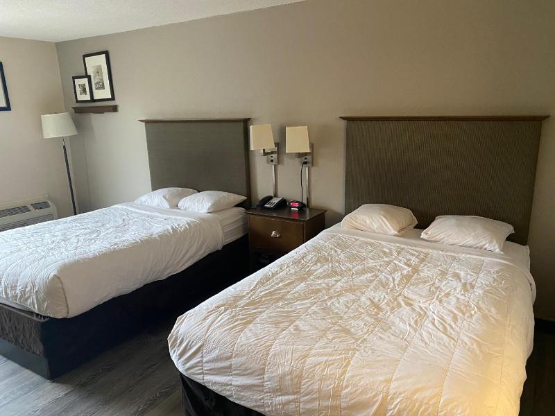 Quadruple Room - Non-Smoking image 3