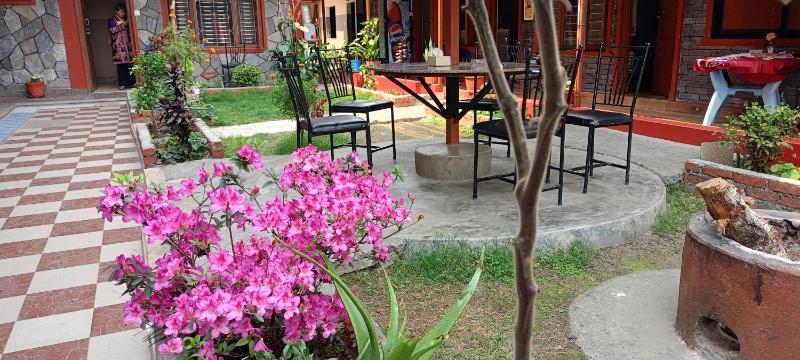 Pokhara Metro Eco Hotel - image 8