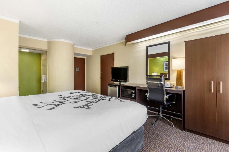 King Room - Non-Smoking image 3