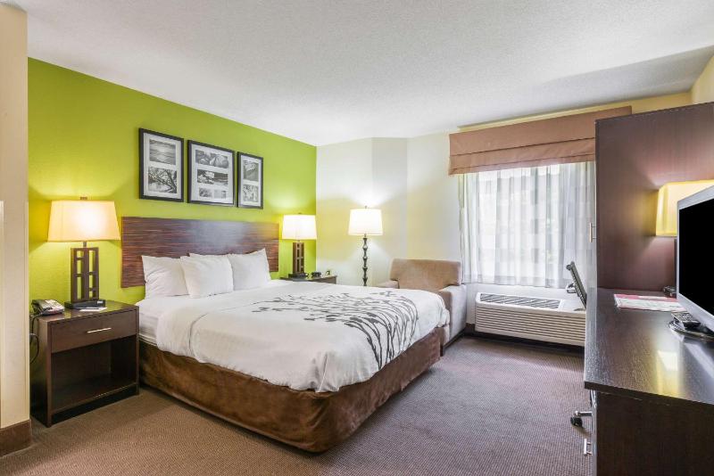 Standard King Room - Non-Smoking  image 3