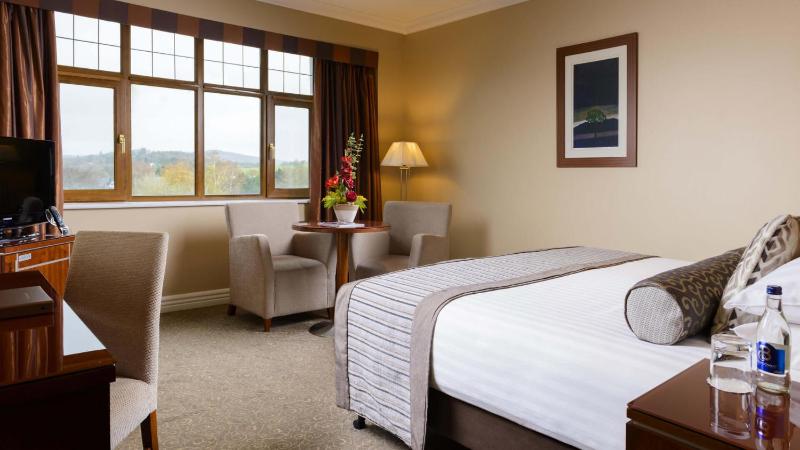 Deluxe Double Room image 4