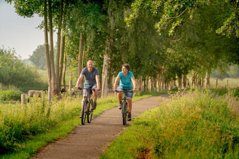 Four-Bedroom Holiday Home image 2