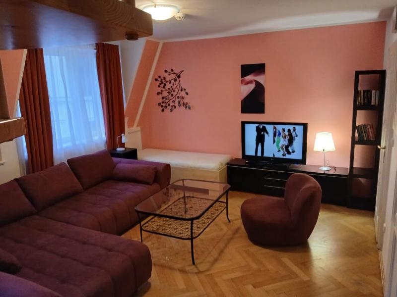 Residence u Vejvodů - image 13