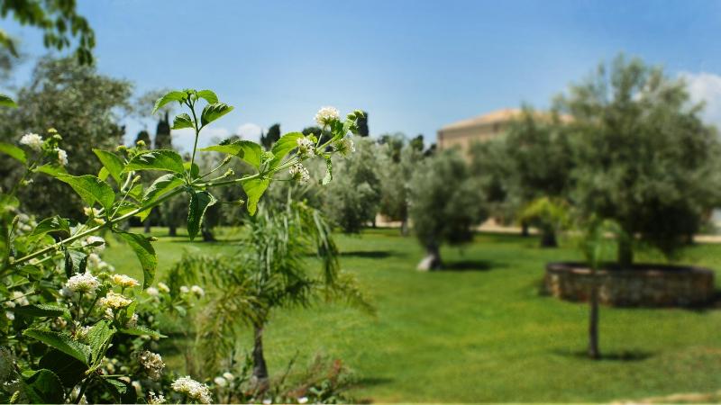 Hotel Villa Fanusa - image 3