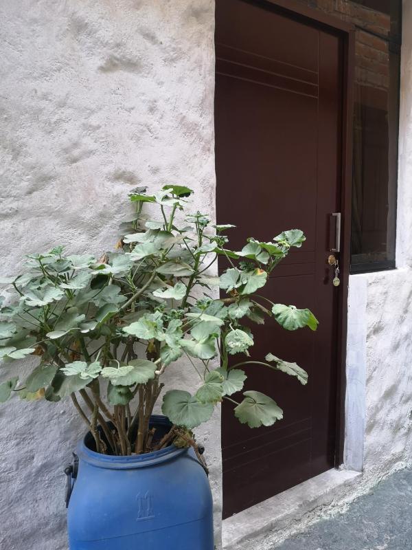 La Casa De Los Amigos - image 7