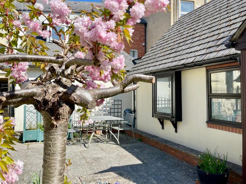 Vernon Place town centre Vernon Cottage 3-bed with parking 1A Vernon Court 2-bed with parking 1B studio no parking off the High Street next to Sandford Park - image 24