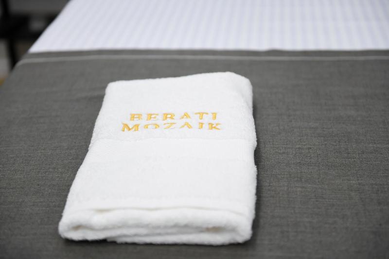 Berati Mozaik Hotel - image 2