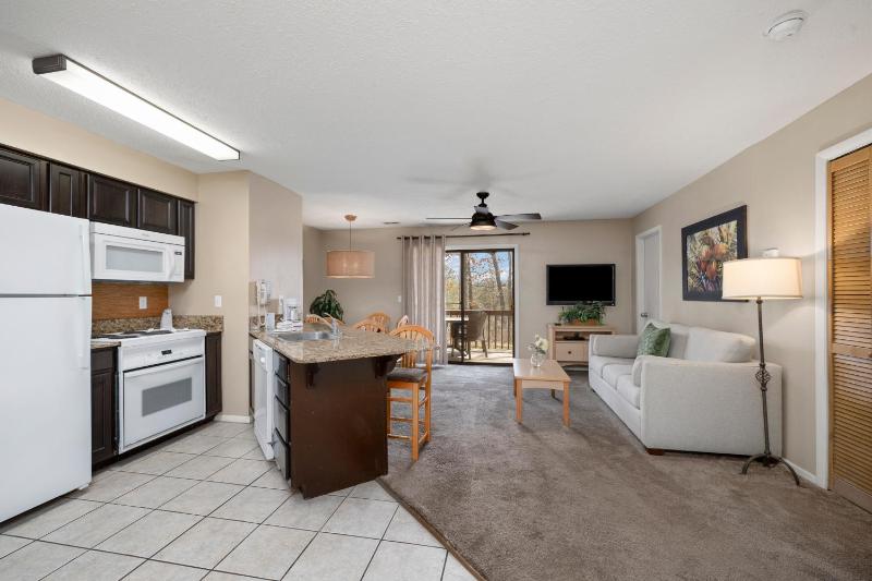 Deluxe Condo, 2 Bedrooms, Kitchen image 1