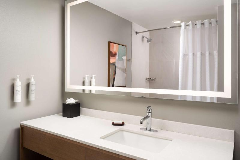 King Suite - Disability Access Roll in Shower image 3