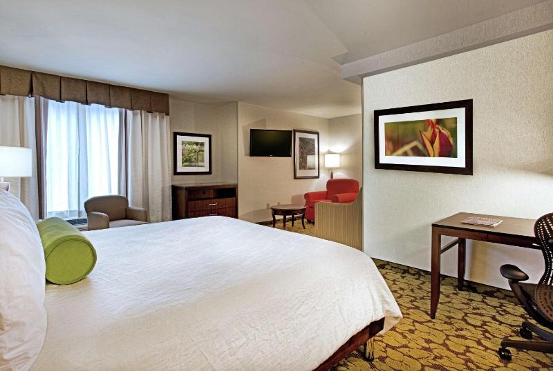 Junior King Suite with Sofa Bed image 3