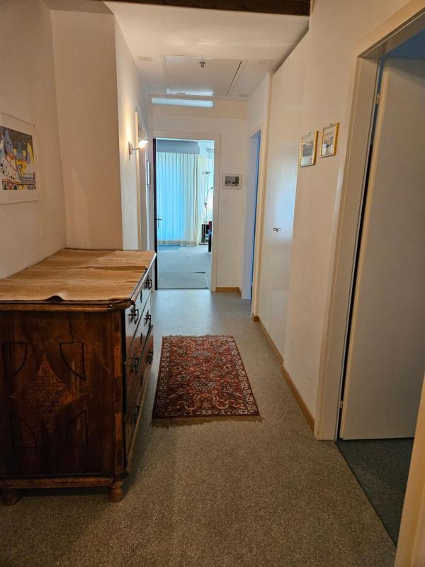 Large One-Bedroom Apartment image 2
