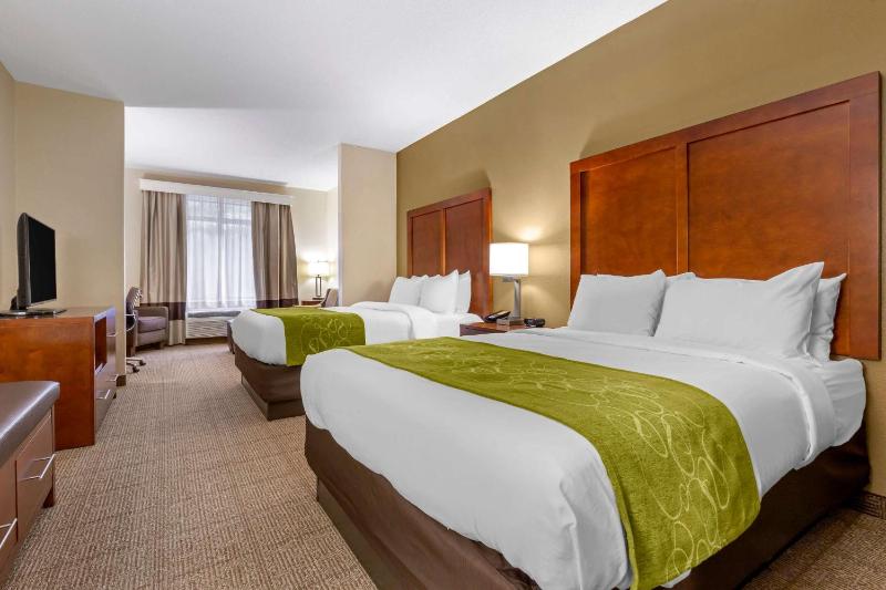 Queen Suite with Two Queen Beds - Non-Smoking image 3