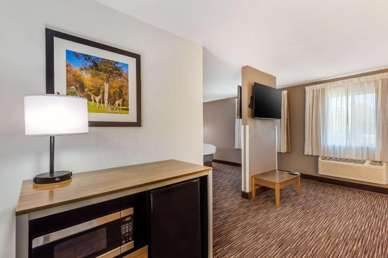 King Suite with Sofa Bed - Non-Smoking image 4