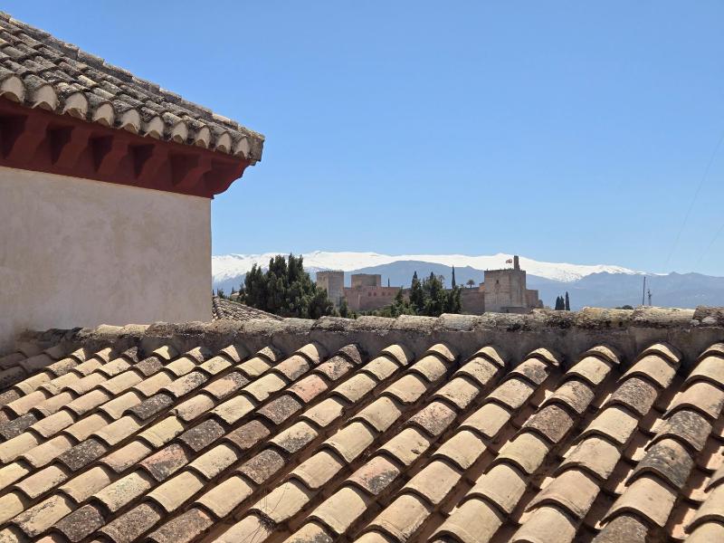 Deluxe Double or Twin Room with Alhambra View image 3