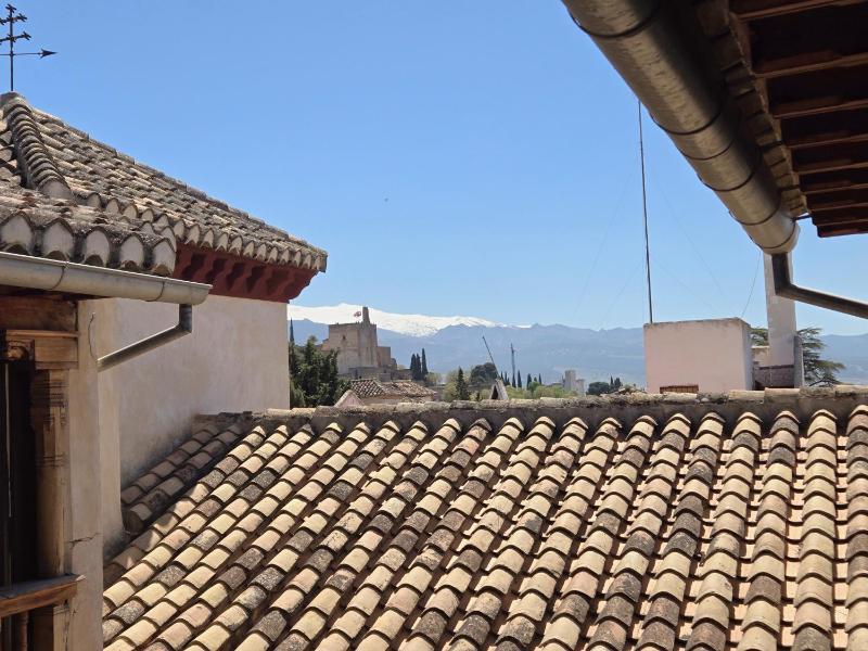 Deluxe Double or Twin Room with Alhambra View image 2