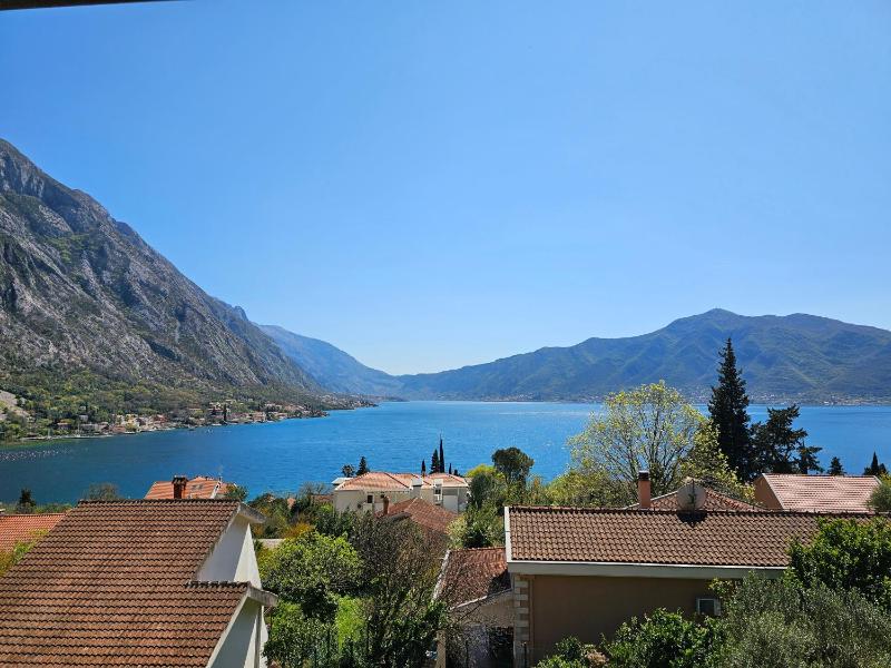 Deluxe Apartment image 4