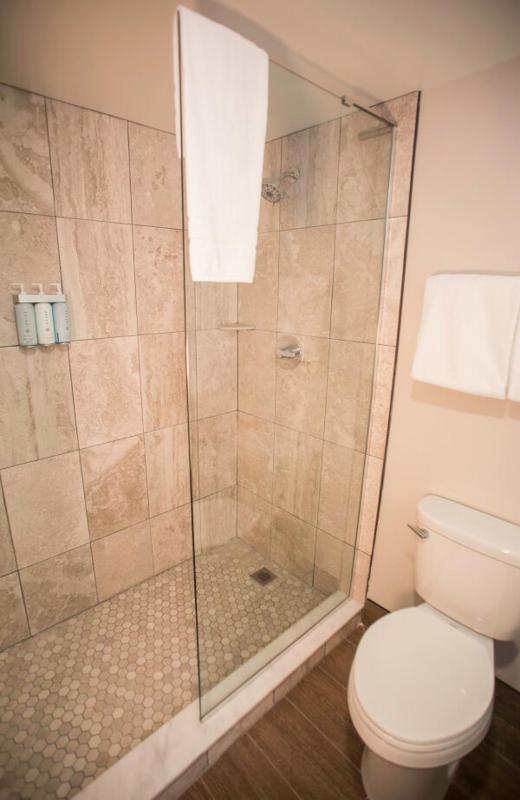 Premium Mountain View with Two Queen Beds image 4