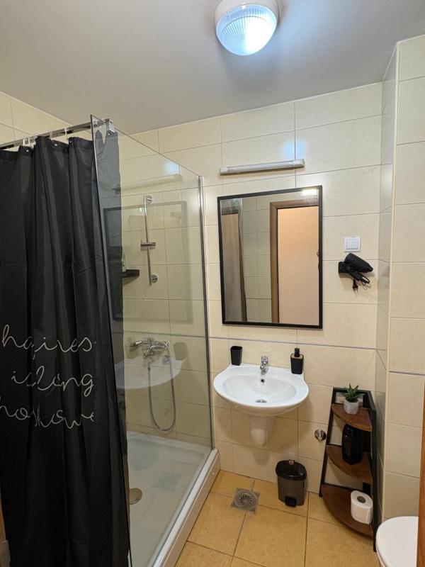 One-Bedroom Apartment image 2