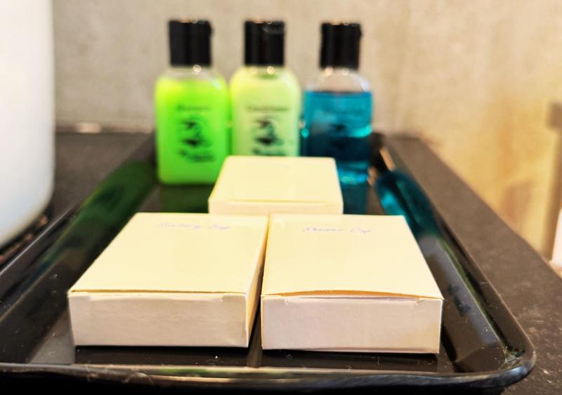Diyakawa Boutique Hotel - image 30