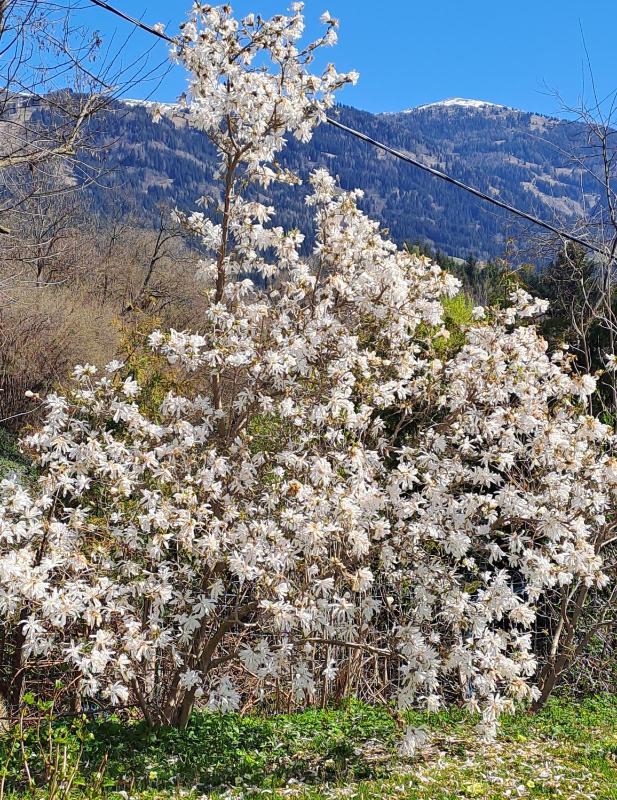 One-Bedroom Apartment with Balcony image 2