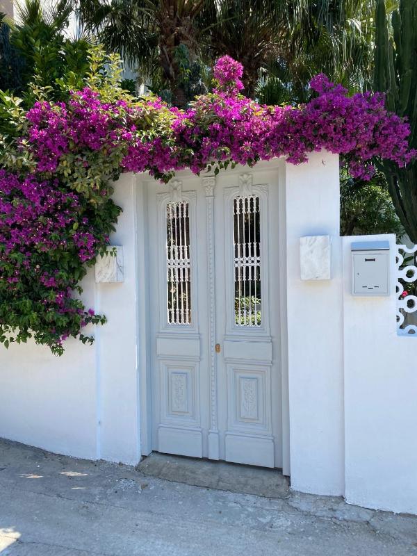 Manolis' House - image 10