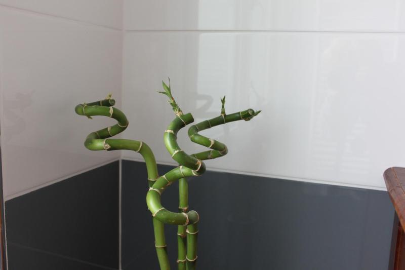 Deluxe Double Room with Shower image 2