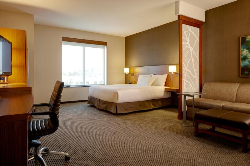 Standard King Room with Sofa Bed image 3