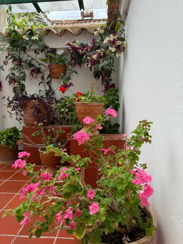 Hostal Villa Carmen - image 9
