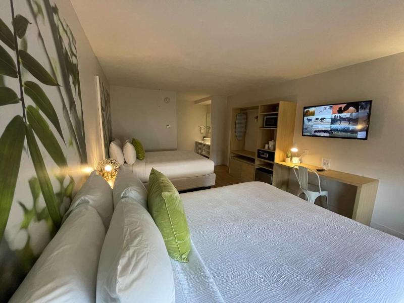 Newly renovated room in cozy hotel near Disney 2 - image 25