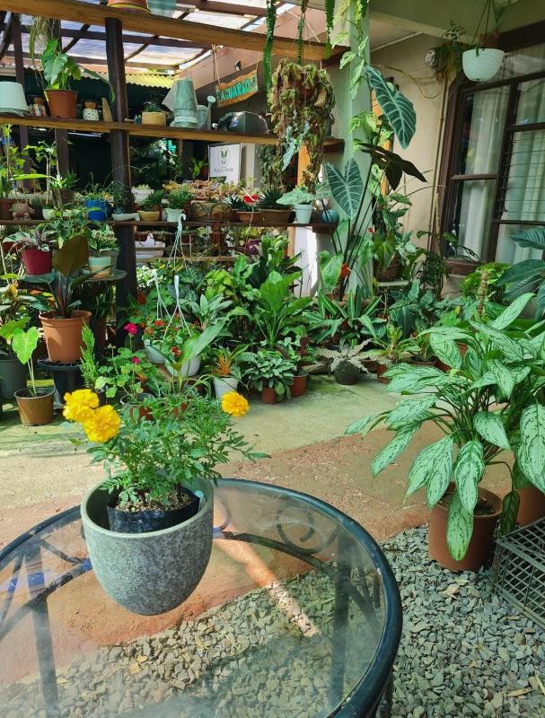 Casa Maranta - image 4