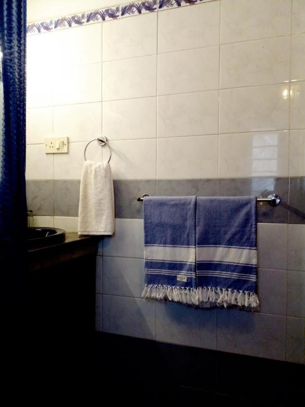 The Blue Whale - spacious 2-3 BHK Penthouse 8 pax - image 10