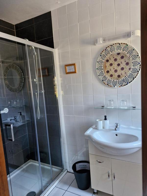 Deluxe Double Room with Shower image 2