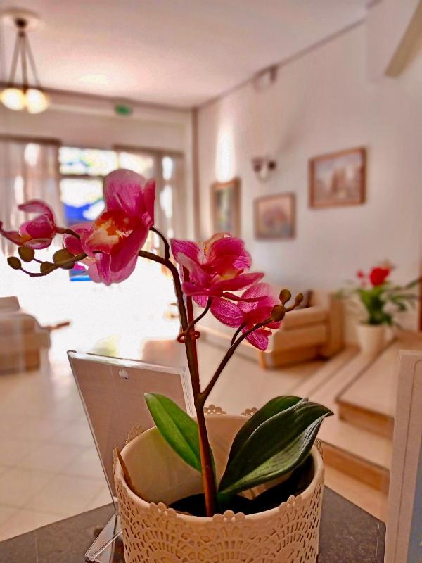 Hotel Rossella - image 36