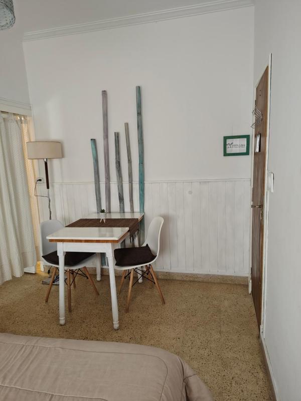 El Monoambiente de la Colo - image 10