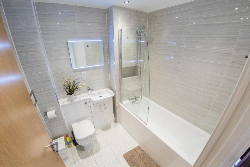 One-Bedroom Apartment image 4