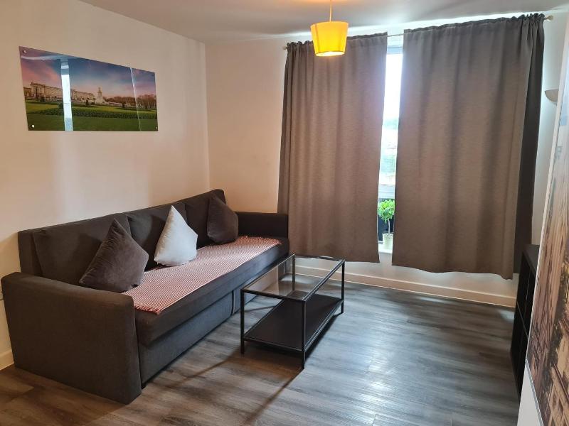 Deluxe One-Bedroom Apartment with City View image 4