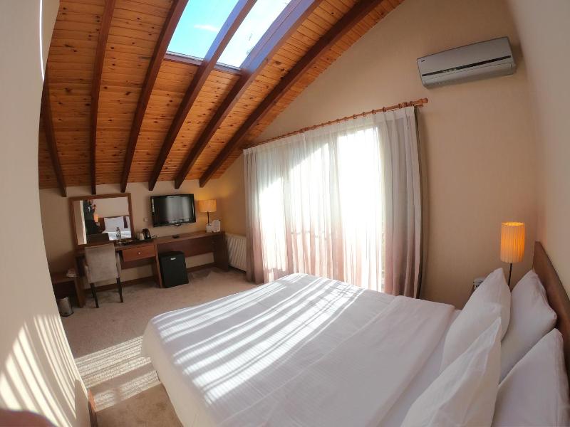 Deluxe Double Room image 4