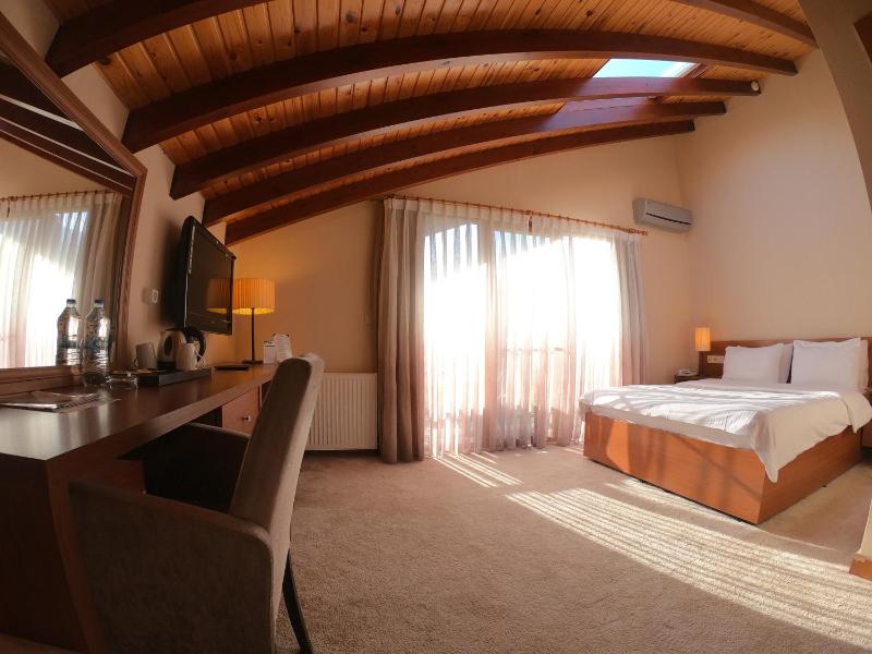 Deluxe Double Room image 3