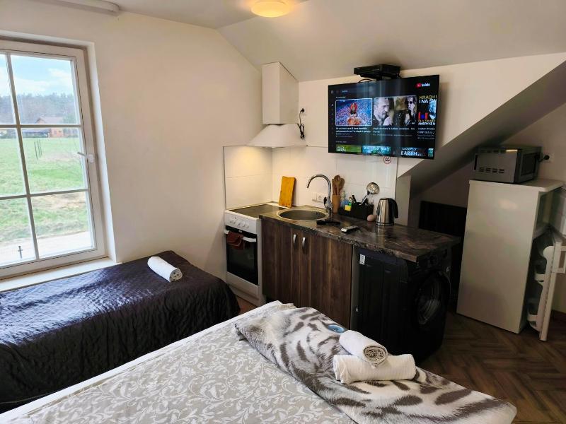 One Bedroom Apartment  image 3