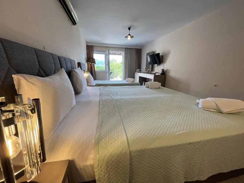 Deluxe Room image 2