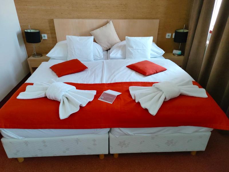 Standard Double or Twin Room image 2