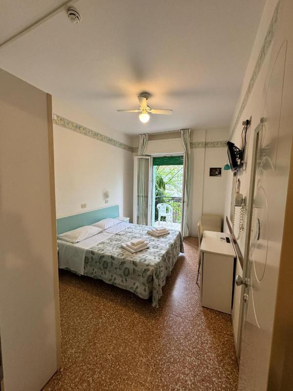 Deluxe Double or Twin Room image 4