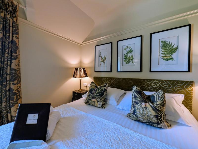 Deluxe Double Room image 1